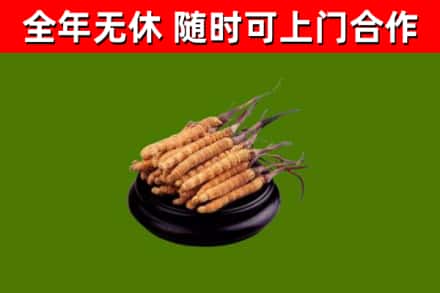 德令哈烟酒回收冬虫夏草.jpg